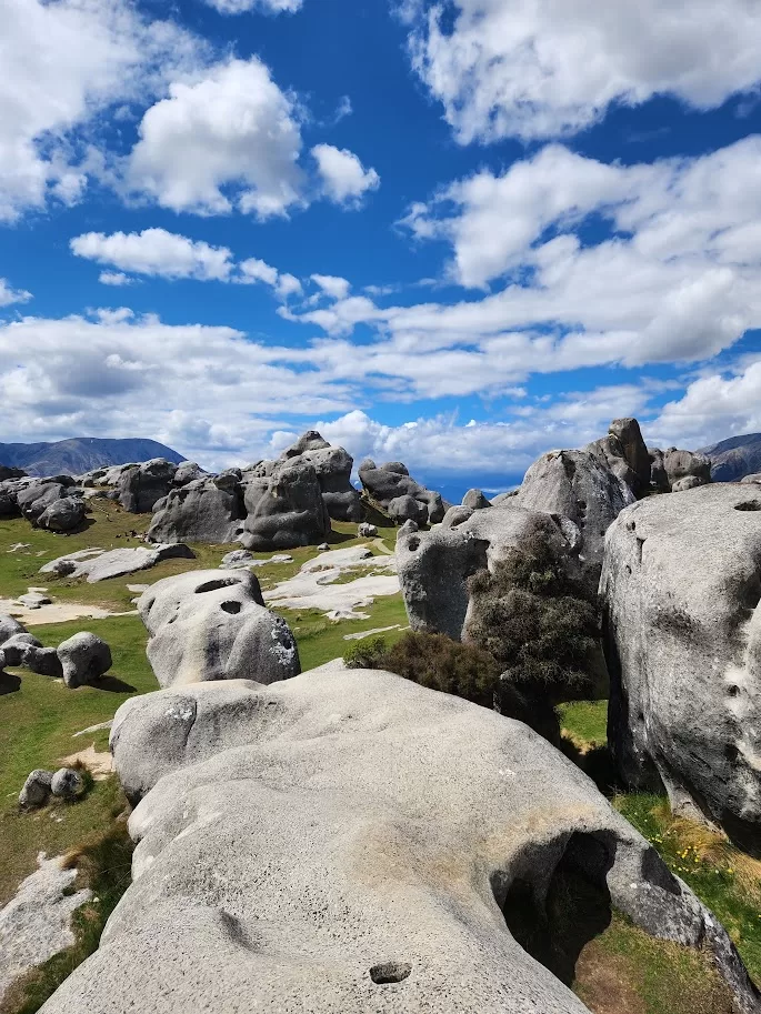 From Plain to Pass: Arthur's Pass and the Southern Alps in One Day