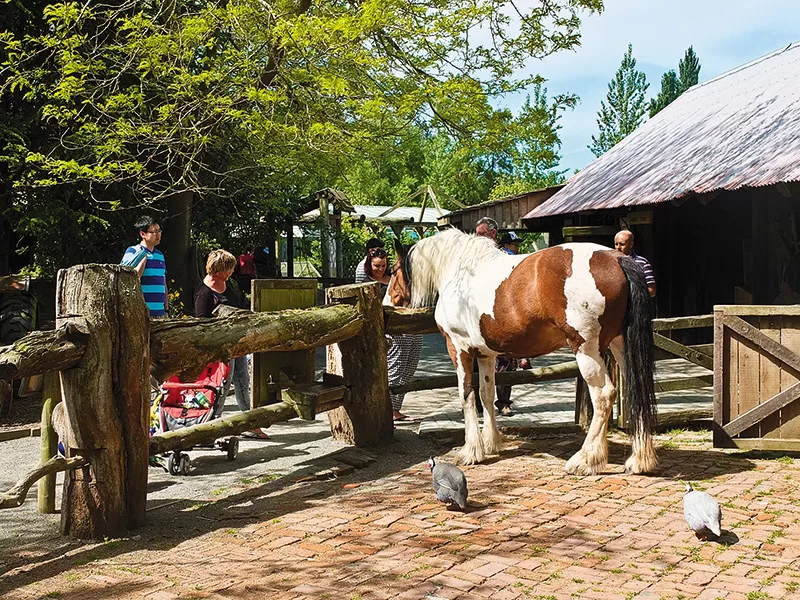 Willowbank Wildlife Reserve