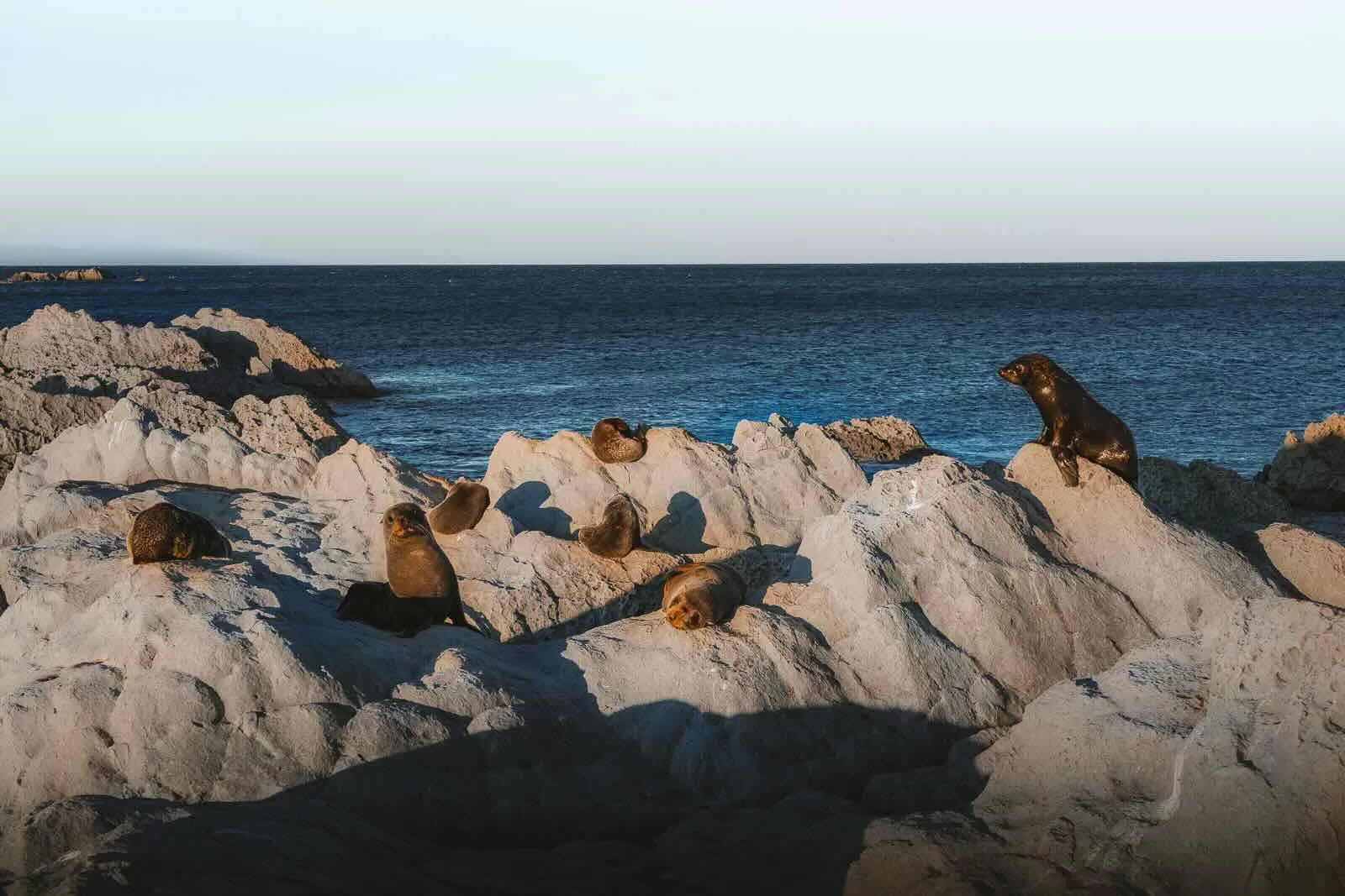 Fife House and Point Keen Cape (Seal Colony)